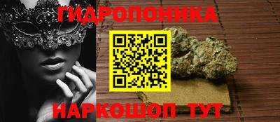 apvp Будённовск
