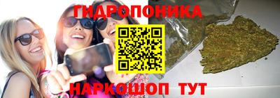 apvp Будённовск